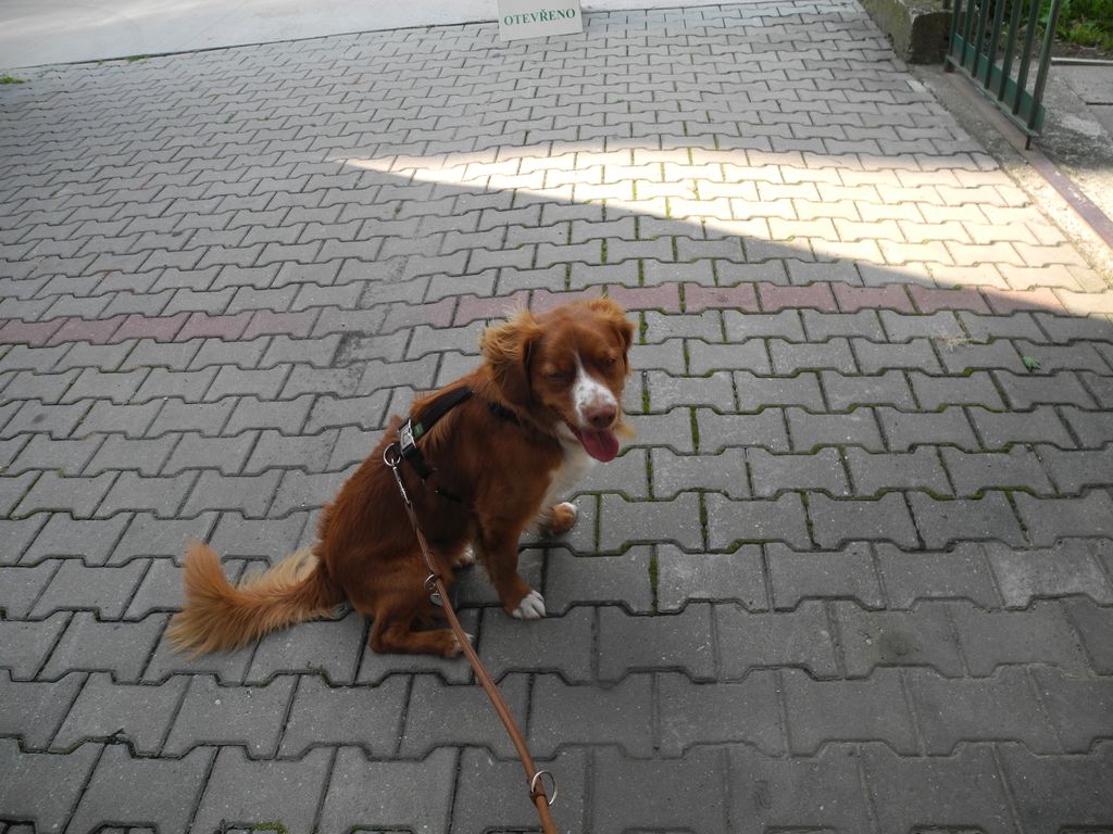DSCN0754