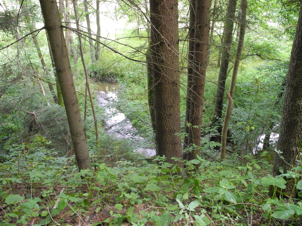 DSCN0817