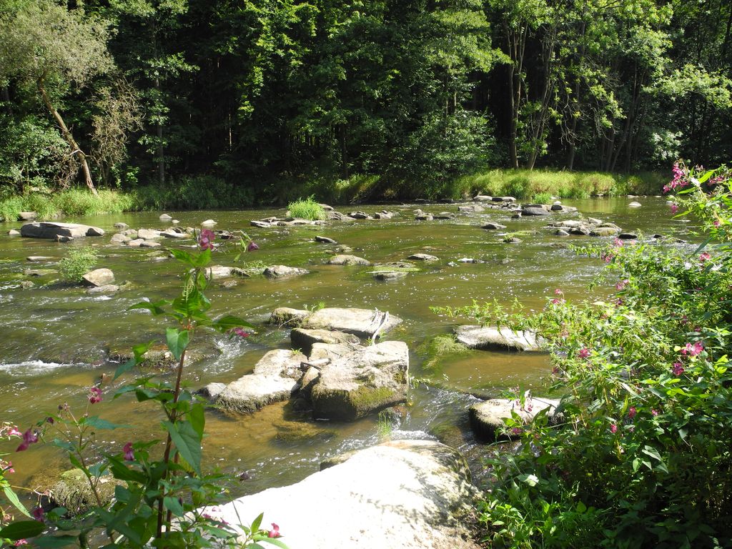 DSCN0870