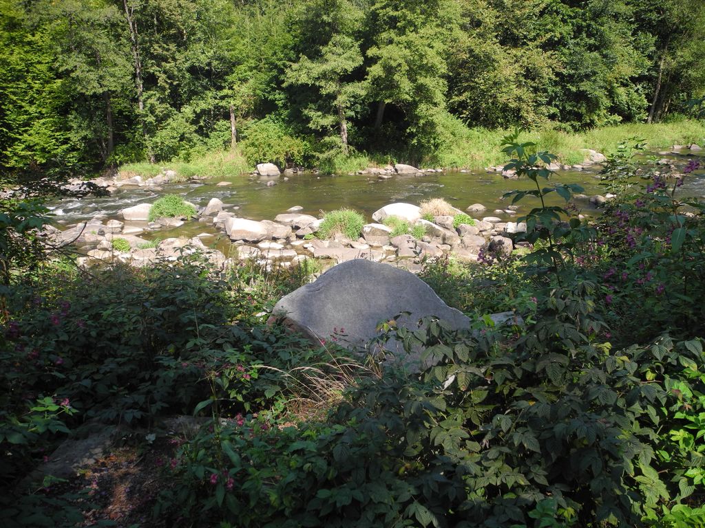DSCN0898