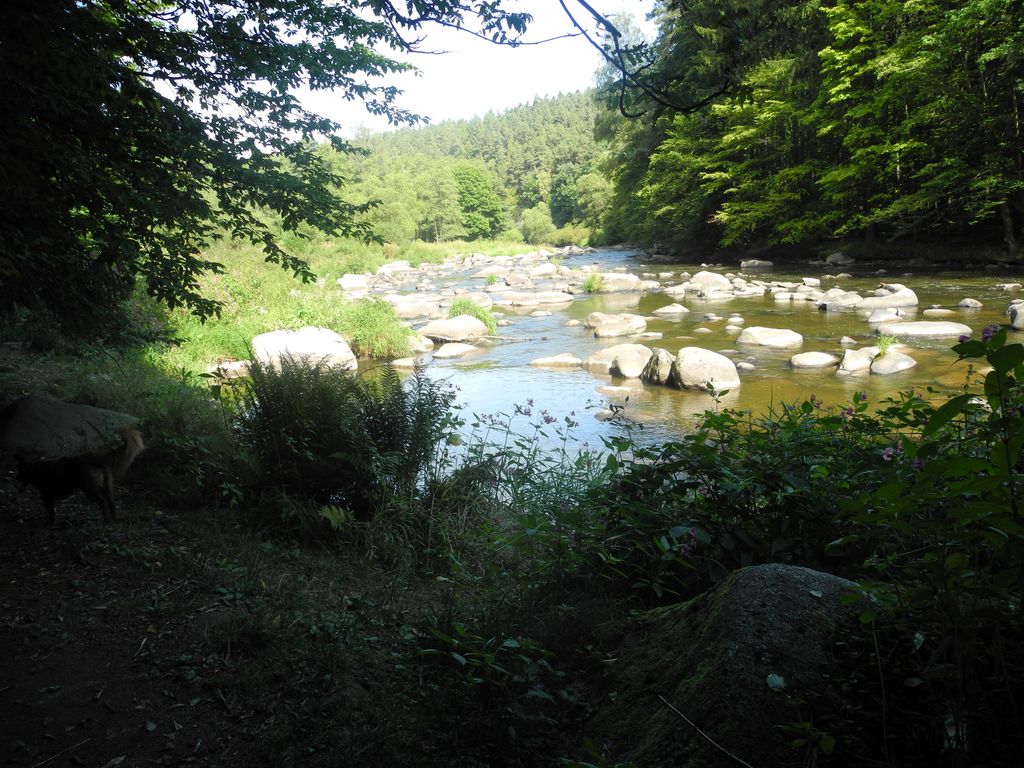 DSCN0900
