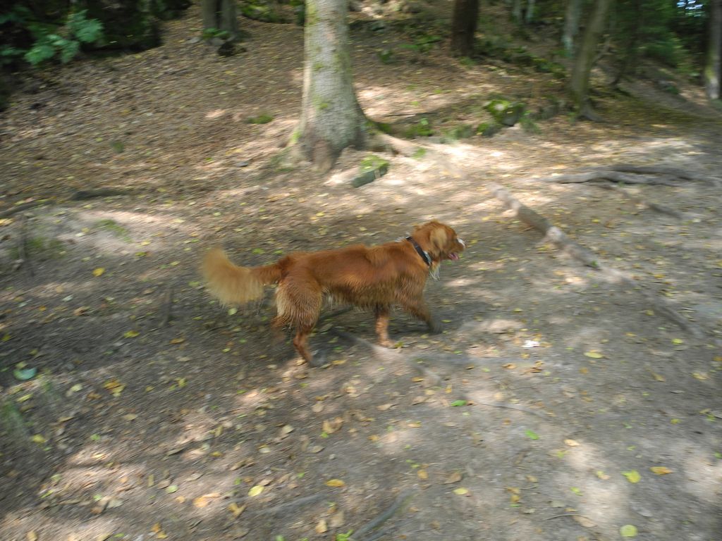 DSCN0903