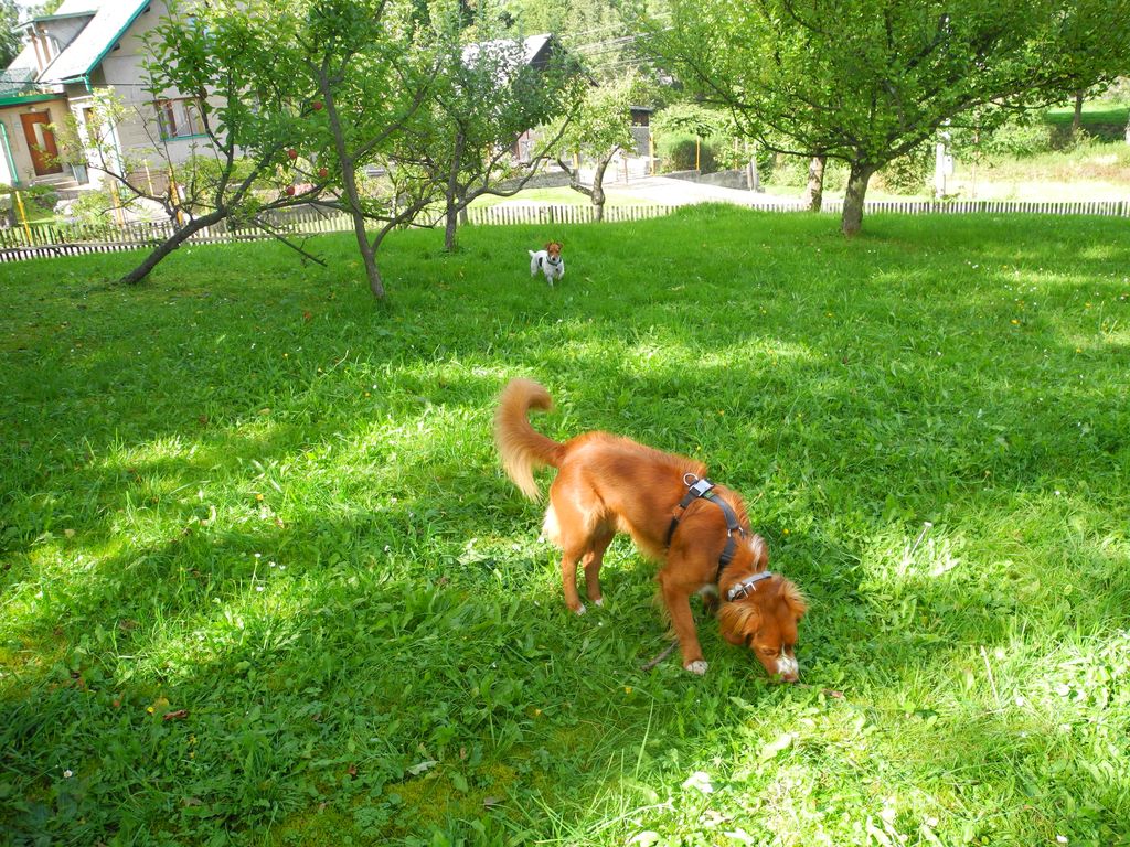 DSCN1082