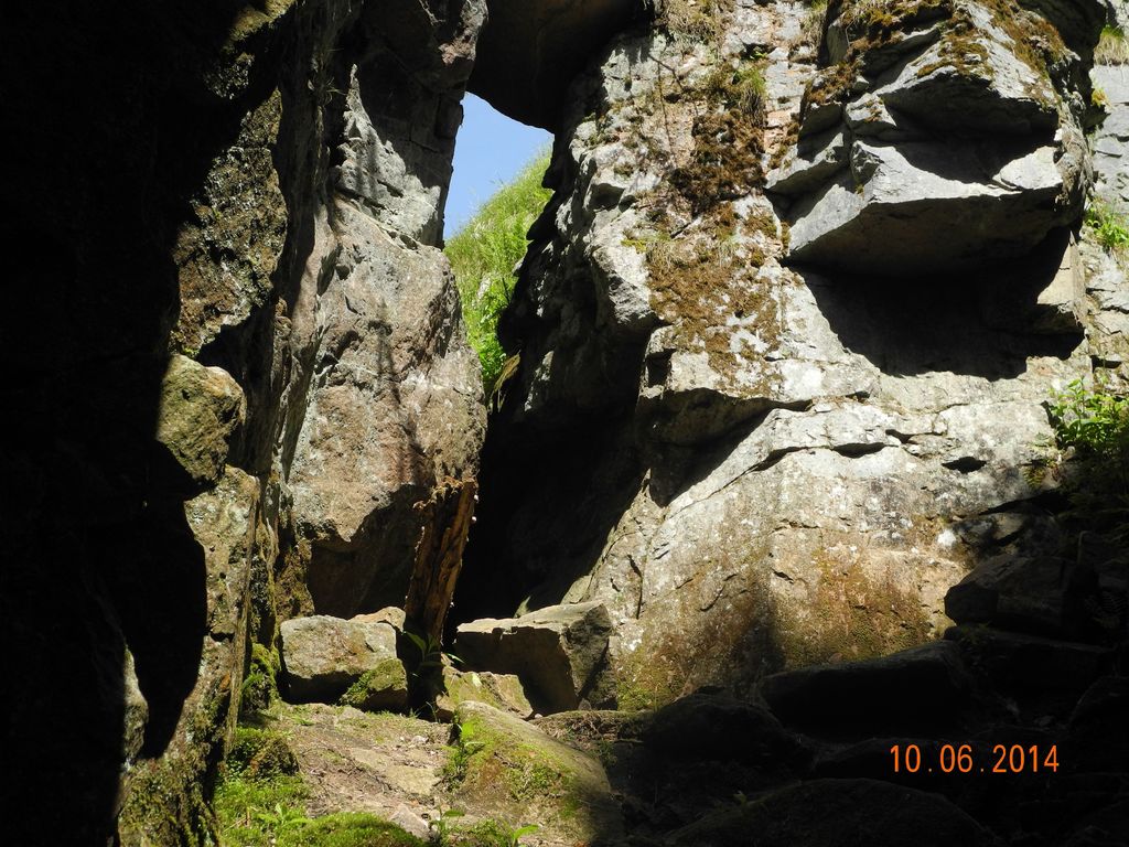 DSCN2061