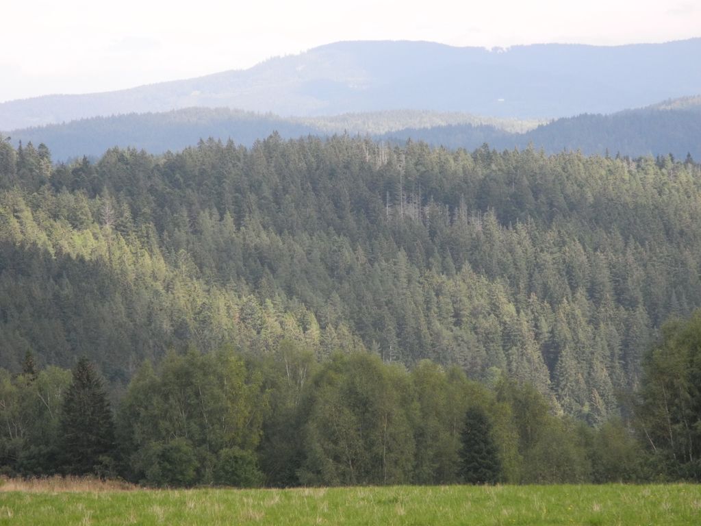 prostě Šumava, nádhera