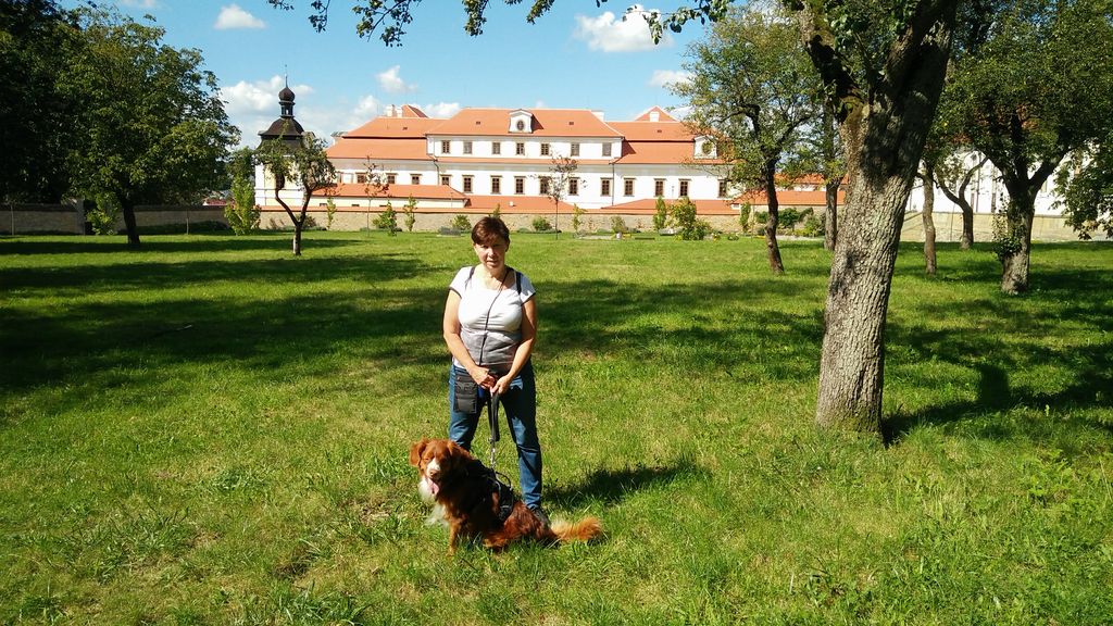 Rychnov nad Kněžnou