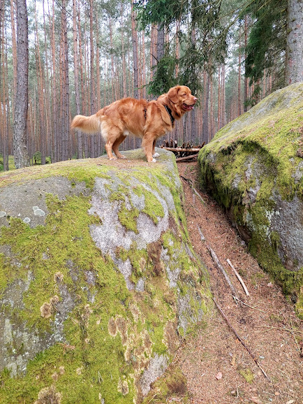 výlet na Sedmihoří